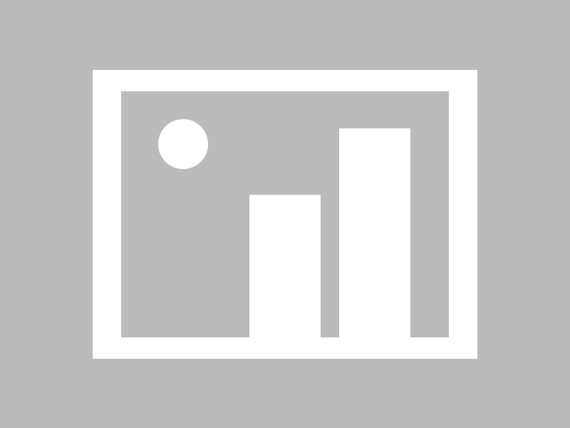 开云体育官网在线-杨瀚森多次封盖对手成为内线防守核心，杨翰林简介