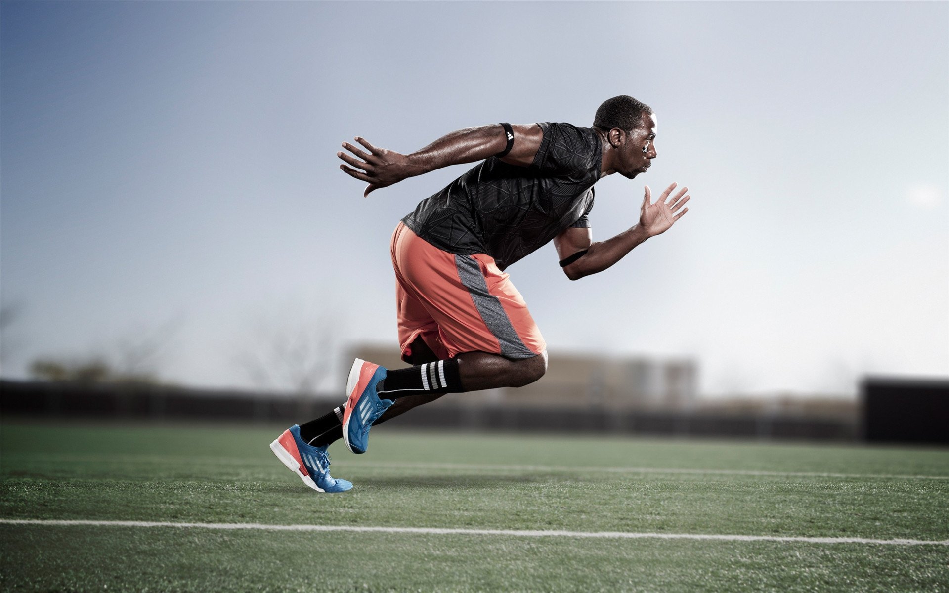 100米自由泳划频与速度动态分析，100米 自由泳