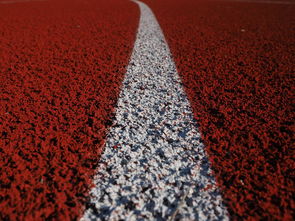 开云体育app注册-田径项目专项训练成效显著，田径专项体能训练